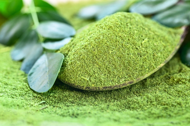 khasiat daun kelor untuk kesehatan